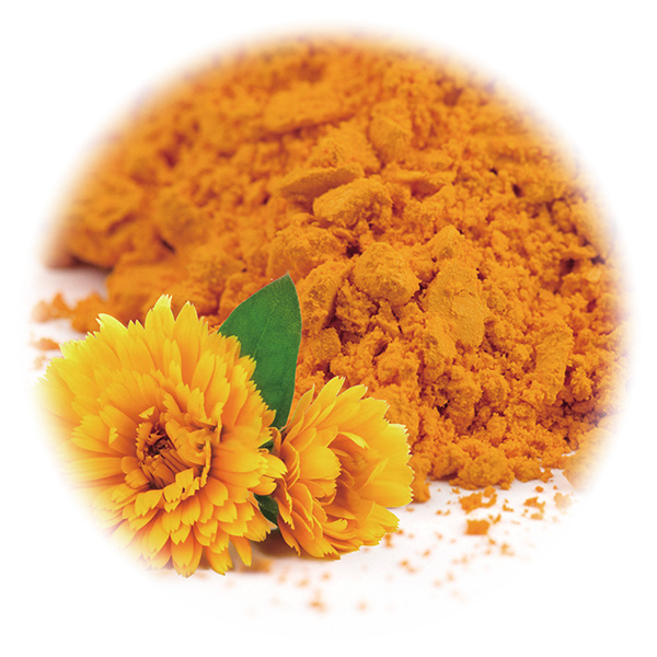 葉黃(huáng)素共晶