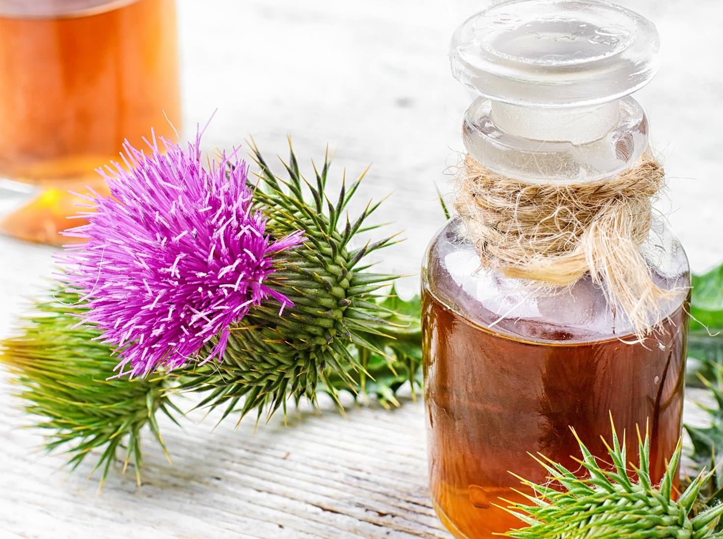 護肝産品吃(chī)錯(cuò)=白(bái)花(huā)錢(qián)！4大(dà)臨床揭密水(shuǐ)飛(fēi)薊原料的(de)選擇關鍵點