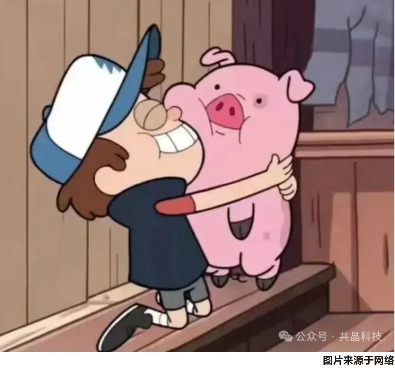 動物(wù)健康 | 晶優佳®助我健康成長(cháng)：小(xiǎo)豬的(de)自(zì)述