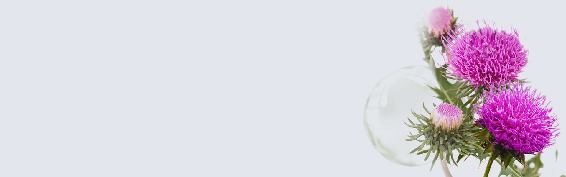 水(shuǐ)飛(fēi)薊賓共晶